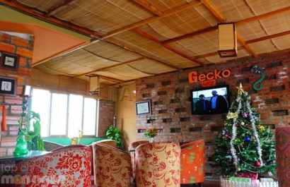  Nhà hàng Green Gecko 