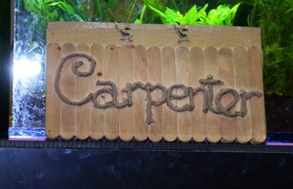 Quán cafe Carpenter