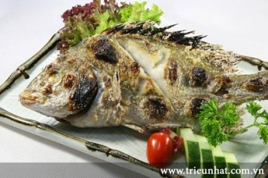 Cá Tráp biển, món ăn người Nhật yêu thích - Amthuc365.vn