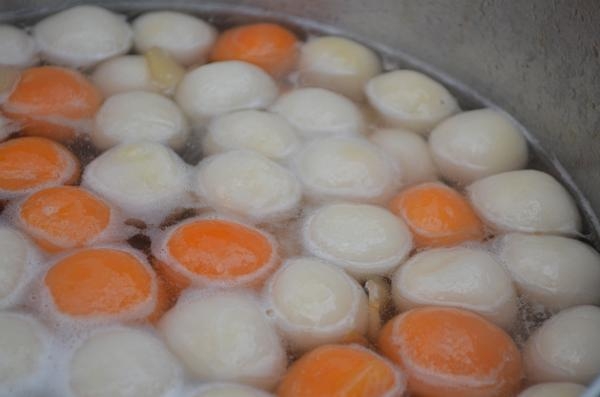 Coong phù Coong phù