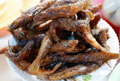 Cá suối