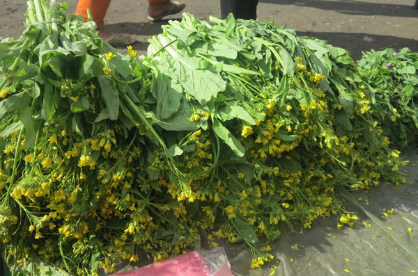 Hoa cải Hoa cải