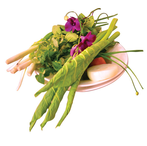 Nhiều loại rau củ tự nhiên của miền đồng bằng được gia giảm trong các món ăn. 