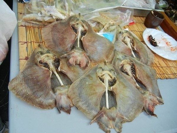 Hongeo - Thịt cá đuối lên men