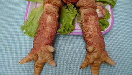 [Image: Ch%C3%A2n-g%C3%A0-%C4%90%C3%B4ng-T%E1%BA%A3o.jpg]