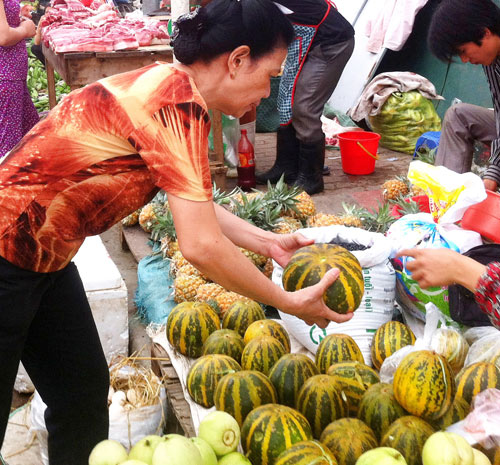 Dưa bở vào mùa 3