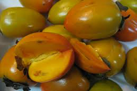 Hồng Đông Lộ và Hồng Tiến