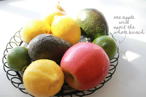 Mẹo giữ rau củ quả tươi cả tuần 2