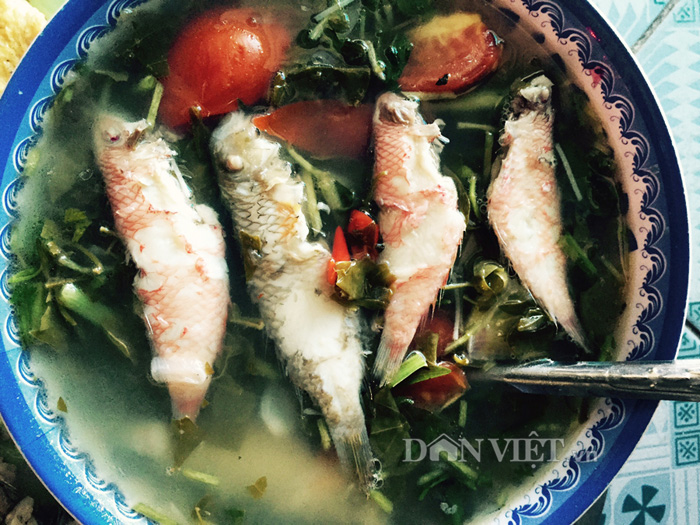 cá mó nấu chanh chua ở Quảng Ngãi 1