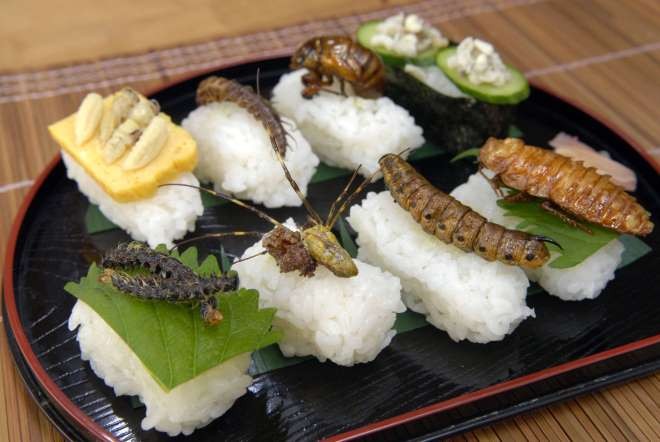 Sushi côn trùng