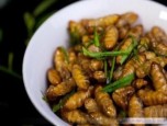 Nhộng rang lá chanh