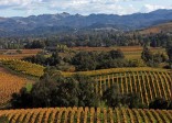 Du lịch nước Pháp thăm vùng sản xuất rượu vang