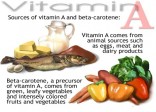 Vitamin A và các Carotenoid (P1)