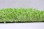 Mầm đậu nành – tìm lại tuổi xuân thật đơn giản