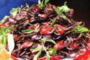 Bắt Ba Khía, cá Thòi Lòi ở Cà Mau