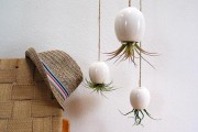 Chế tạo chậu cây treo lơ lửng