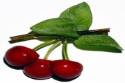 Những loại hoa quả tốt cho da