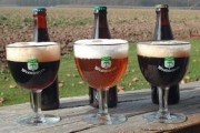 Westvleteren 12 và các loại bia ngon nhất trên thế giới