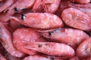 Ăn nhiều thực phẩm ướp lạnh tốt hay không tốt?