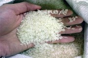 Trung Quốc điều tra về gạo độc làm dị dạng thai nhi