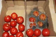 Lợi và hại của Chất bảo quản