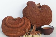 Linh chi và một số loại trà linh chi tốt cho sức khỏe