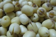 Bầu bí có nên ăn tam thất với hạt sen?