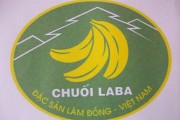 Trao chứng nhận nhãn hiệu chuối La Ba