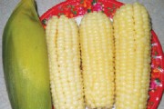 Bắp luộc pin được bán công khai