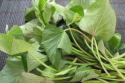 Những thực phẩm giải độc cho cơ thể mùa thu