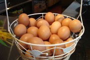 Sán lá trong trứng gà không kí sinh ở người