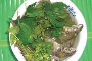 Cá giò nấu lá thông gai