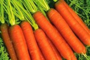 Bí quyết bảo quản rau củ quả được lâu