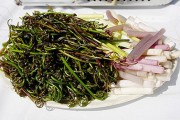 Lạ lùng đọt choại