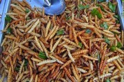 Hấp dẫn món ăn từ côn trùng