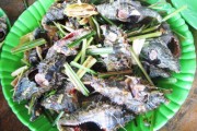 Du lịch Sông Cầu ăn ốc cực ngon