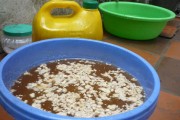 Kinh hoàng nước phở ép từ thịt lợn chết