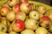 Cách làm dấm tự nhiên mà ngon