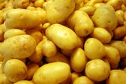 Mẹo chế biến và dùng khoai tây an toàn