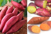 Những người bị bệnh trĩ không thể bỏ qua 6 loại thực phẩm này?