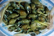 Thưởng thức ốc cau luộc sả ở Gò Công