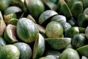Thưởng thức cà đắng của người Ê Đê ở Đắc Lắk