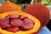 Trị nám, làm trắng da hiệu quả nhờ dầu gấc