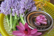 Canh chua lươn nấu bông lục bình giải ngấy hiệu quả