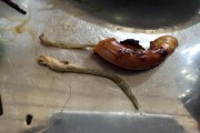 Sán ngoe nguẩy trong lòng lợn ở quán nướng hot nhất đất Thủ đô