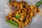 Nhộng tằm ngậm nước trương phình khiến bà nội trợ kinh hãi
