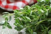 Những lợi ích sức khỏe từ húng tây