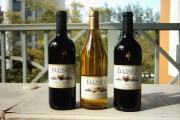 Thưởng thức ẩm thực đa màu sắc tại Chile 