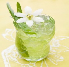 nha đam đường phèn