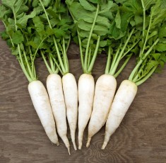 5 thực phẩm kỵ ăn với củ cải trắng vì dễ sinh bệnh